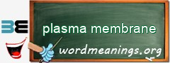 WordMeaning blackboard for plasma membrane